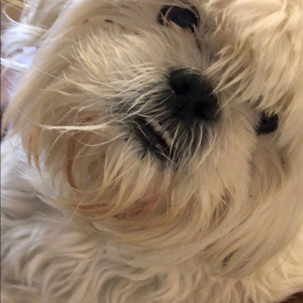 Meet your Posher, CC